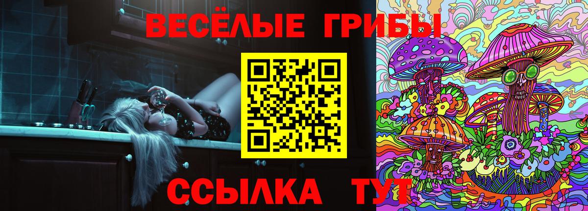 Галлюциногенные грибы Psilocybe  купить   Вход с VPN  Новокузнецк  Псилоцибиновые грибы Psilocybe 